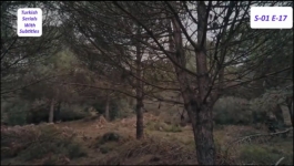 Kurulus Osman - Seasson 01 Episode 17